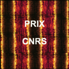 DVD limited to 33 copies – CNRS Editions